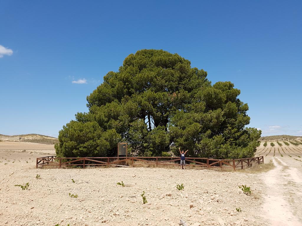 Cortijo De Los Castellanos Las Ventanas Exterior photo